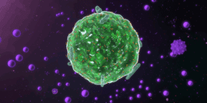 A computer generated image of a mast cell.