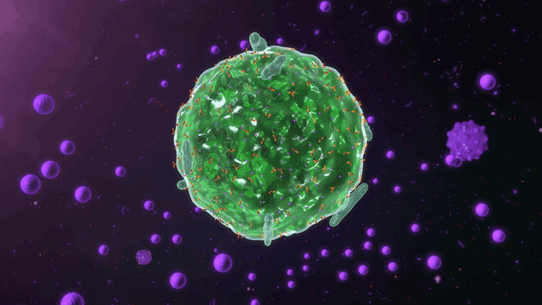 A computer generated image of a mast cell.